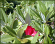about ecotourism