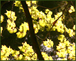 about ecotourism