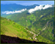 all travel information avaliable