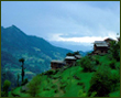 about ecotourism