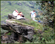 about ecotourism