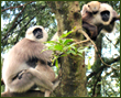 about ecotourism