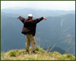 all travel information avaliable