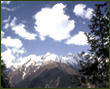 all travel information avaliable