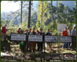 about ecotourism