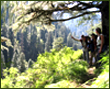 about ecotourism