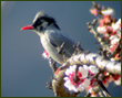 about ecotourism