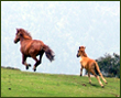 different type of activity